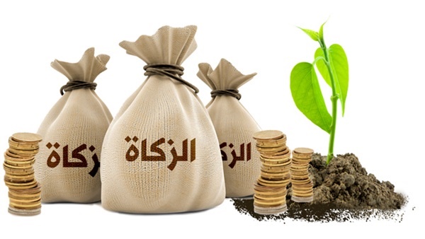 زكاة المال