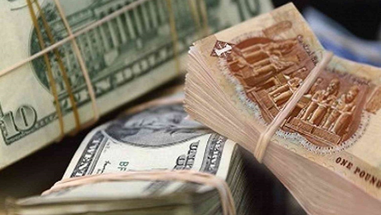 سعر الدولار امام الجنية
