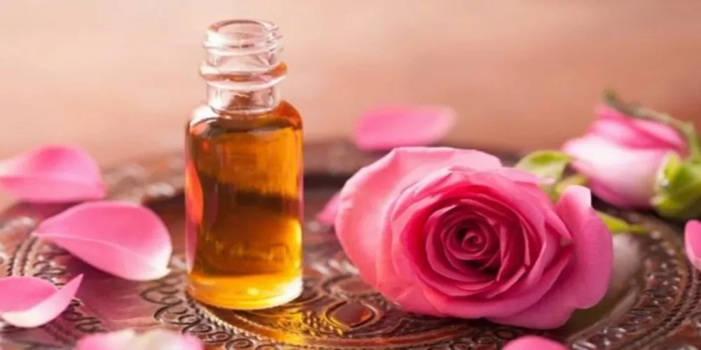 زيت الورد