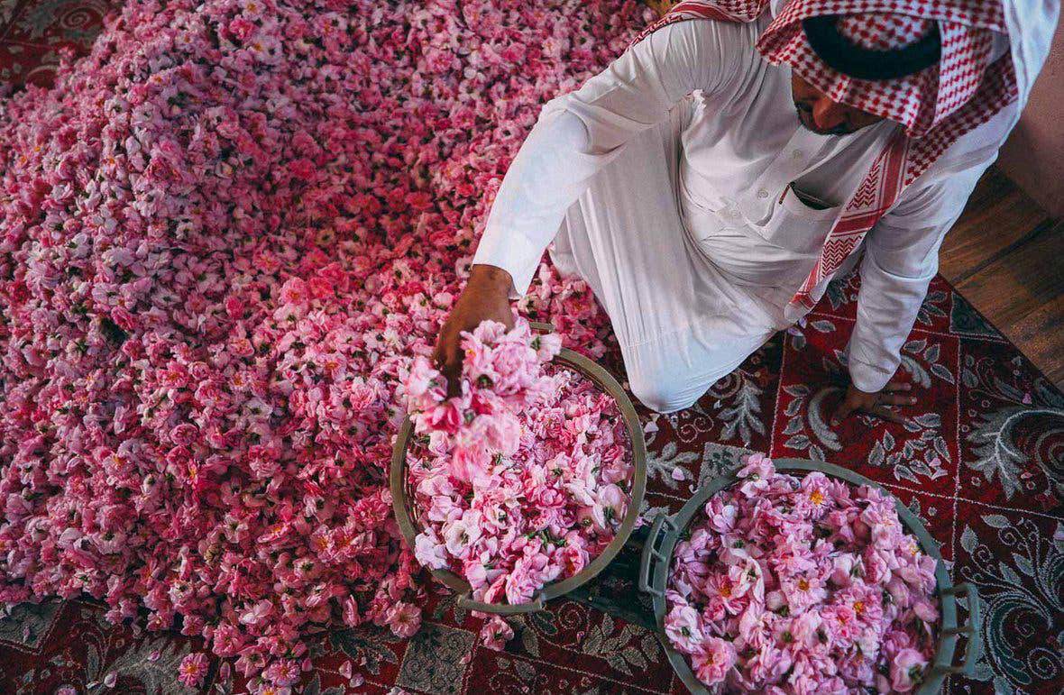 مهرجان الورد الطائفي