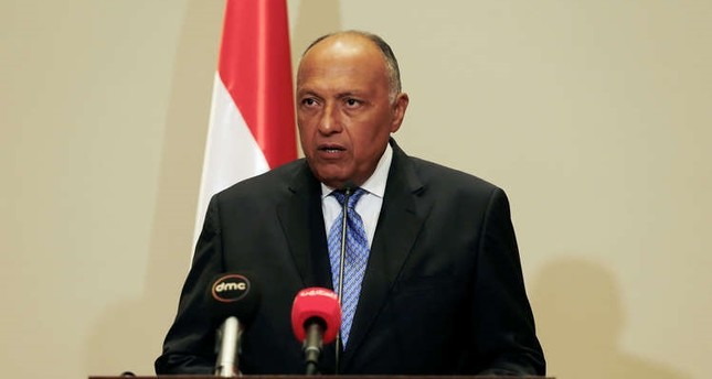 وزير الخارجية سامح شكرى